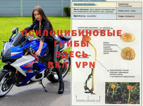 индика Бежецк