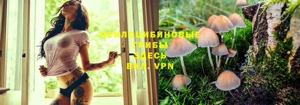 круглые Алексеевка