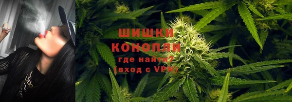 spice Алзамай